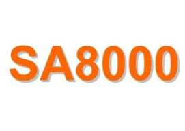 SA8000�wϵ����